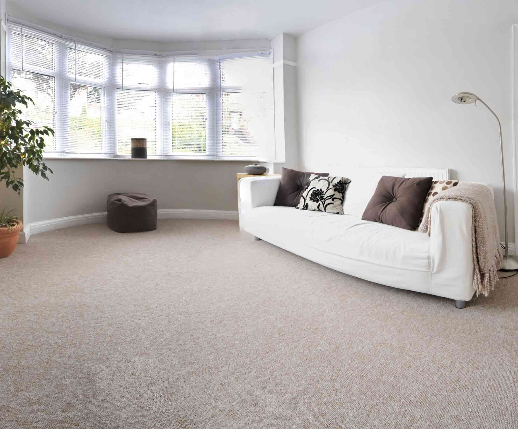 Dry carpet cleaning in Newcastle Upon Tyne