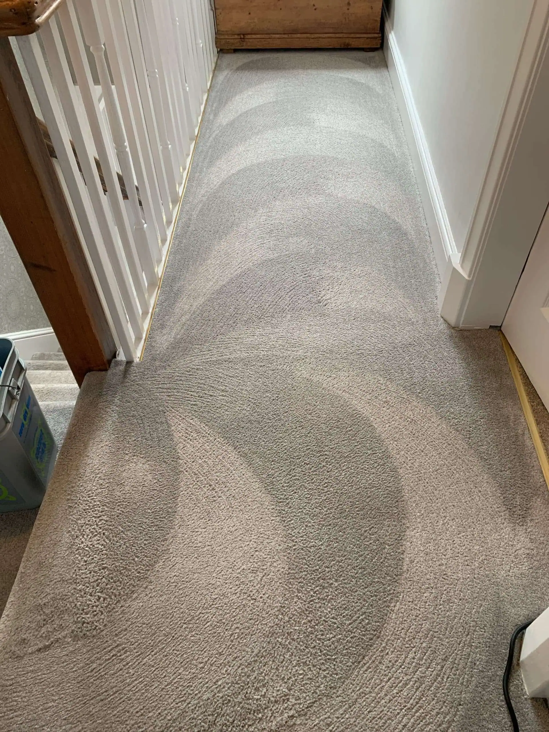 Carpet after cleaning