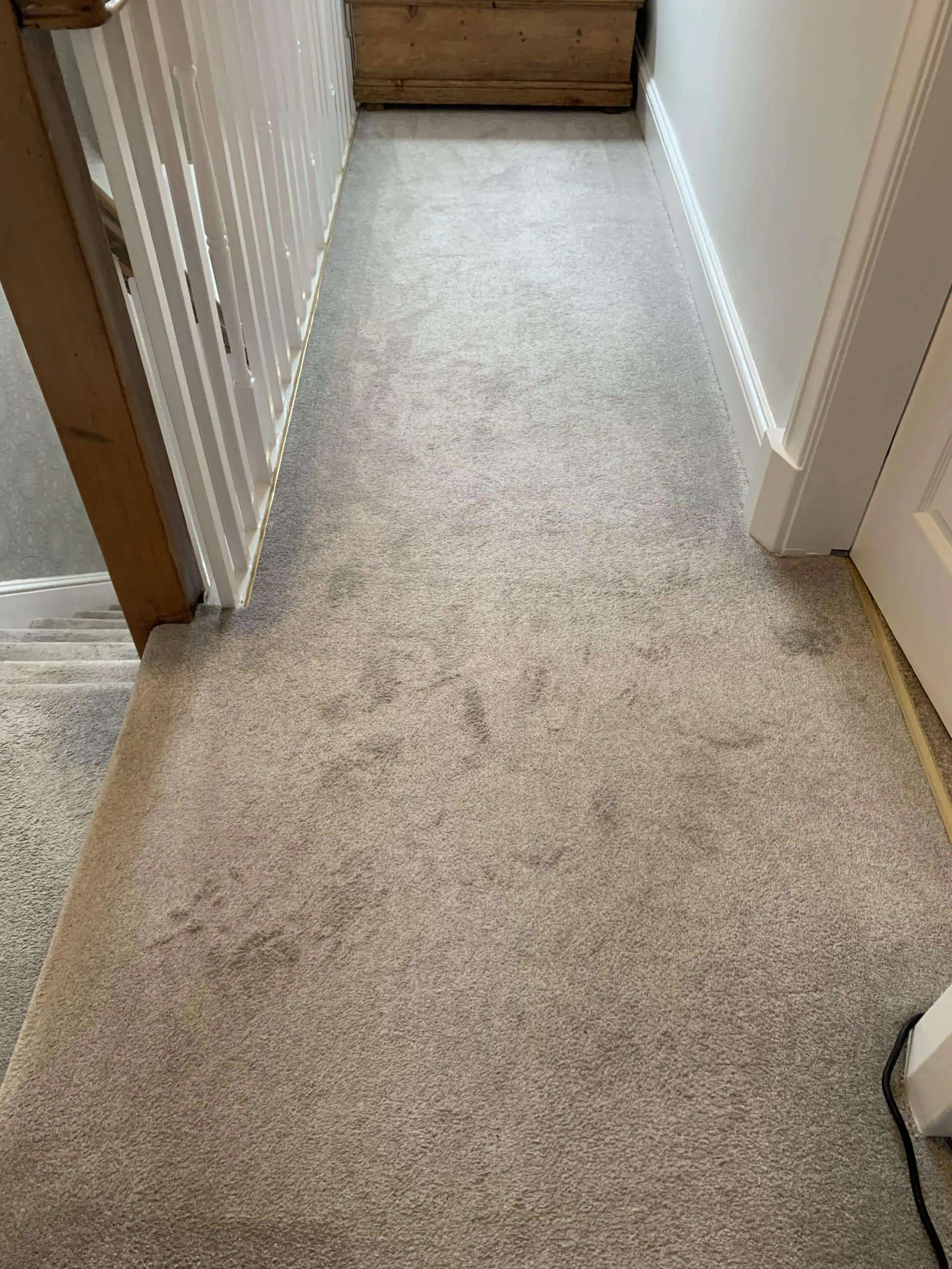 Carpet before cleaning