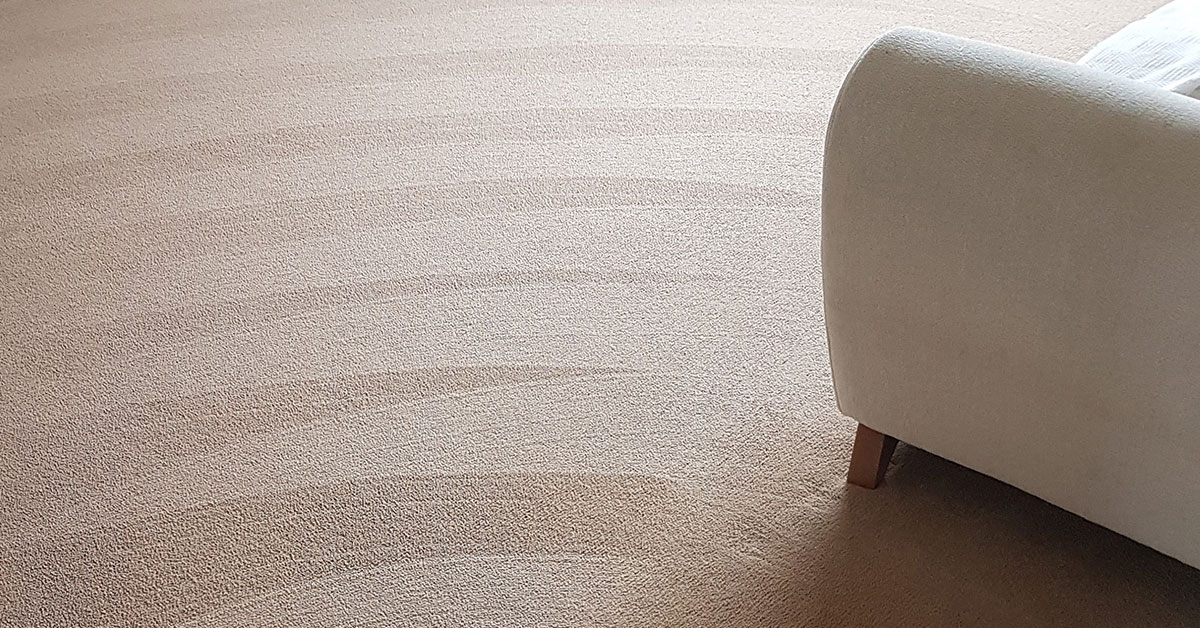 Professional carpet cleaning results in Gateshead